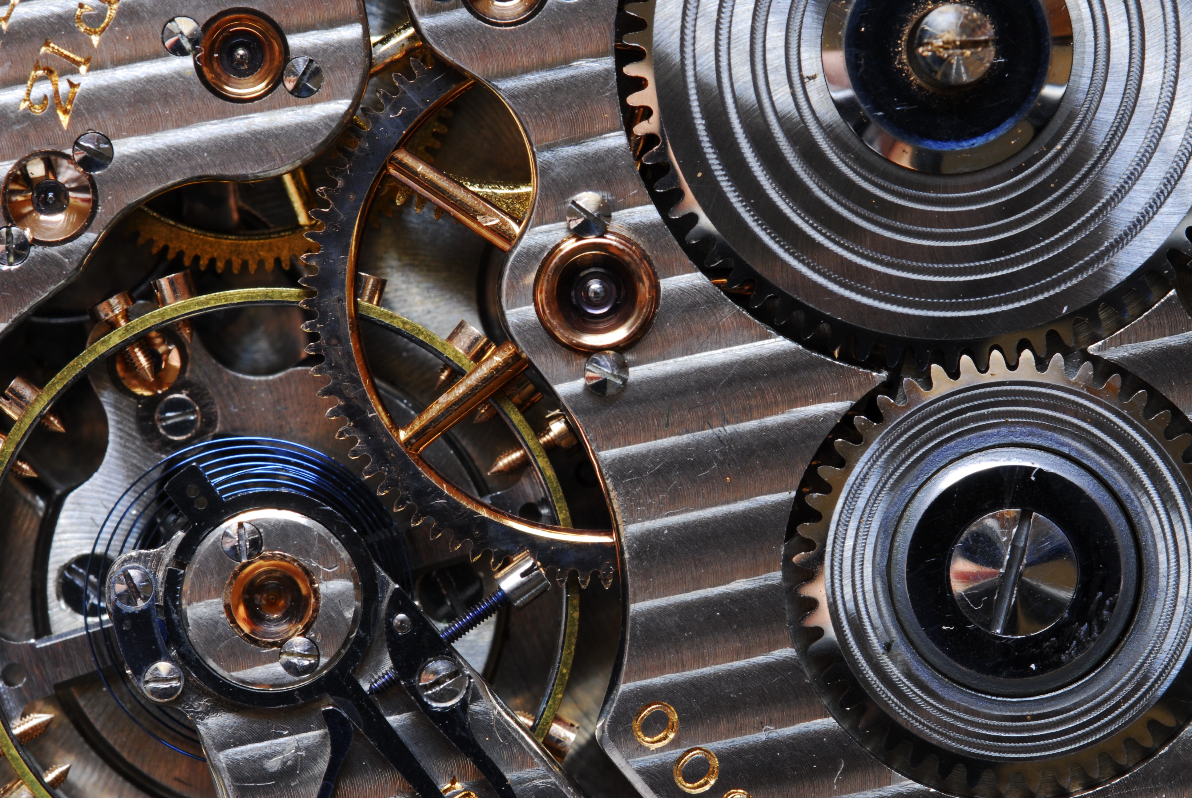 2013nov28_macro-11-13_0016-as-smart-object-1