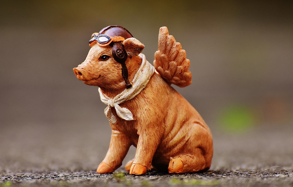 lucky-pig-1843071_960_720
