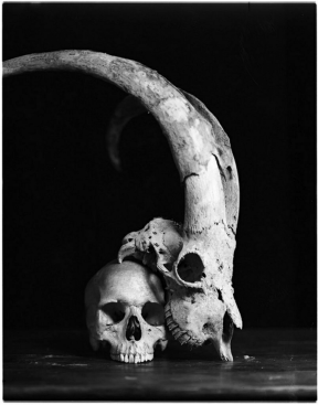 skull-demonic-fingers-satan-1565457-pxhere.com